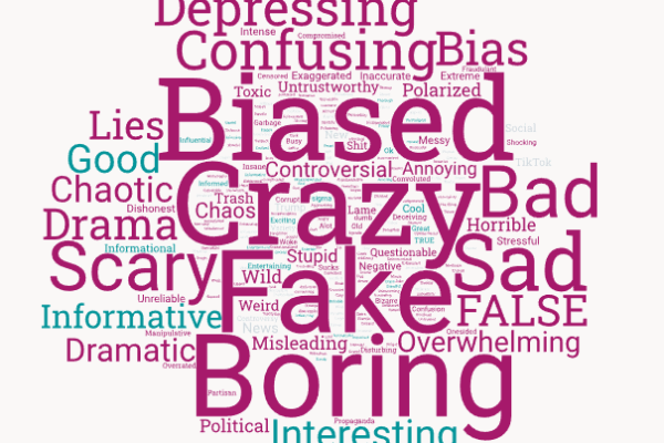 media word cloud